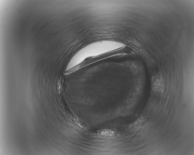 X0000056020471200509170015