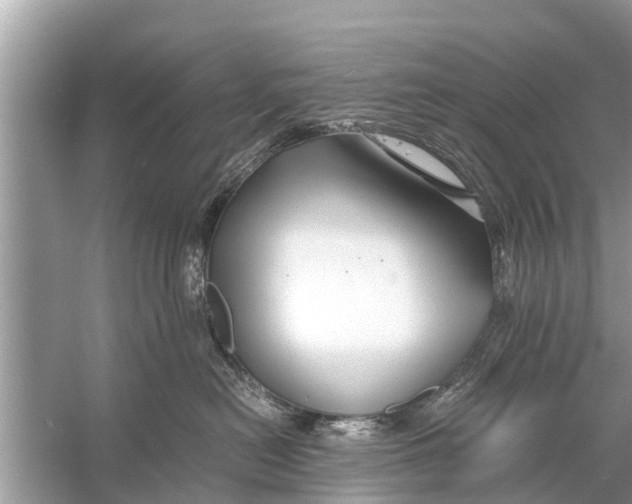 X0000056020478200509170015