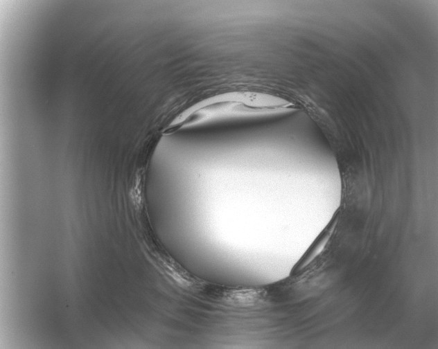 X0000056020479200509170015