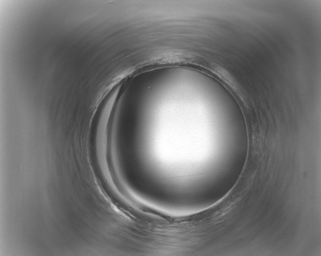 X0000056020485200509170014