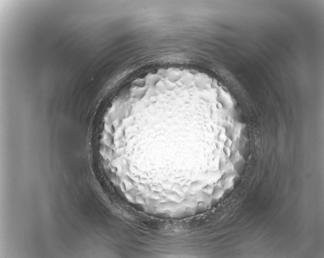 X0000056020487200509170014