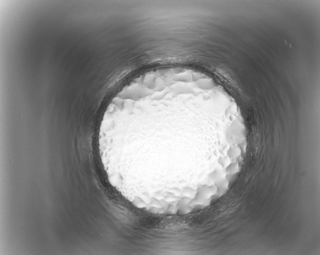 X0000056020491200509170014