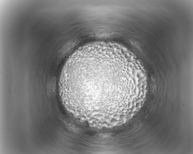 X0000056020495200509170014