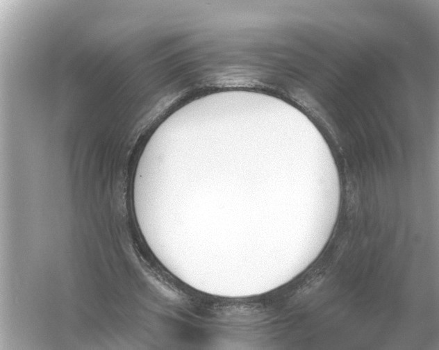 X0000056020533200509170012