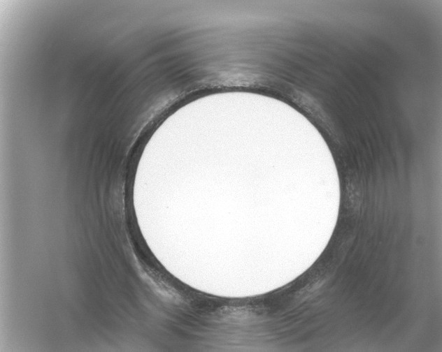 X0000056020534200509170013