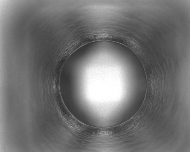 X0000056020546200509170013