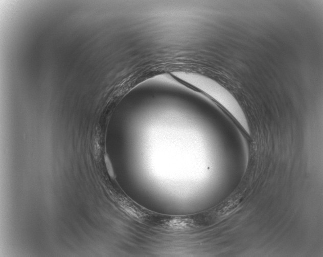 X0000056020566200509170013