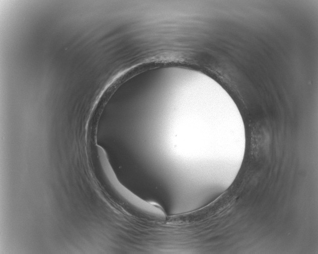 X0000056020584200509170012