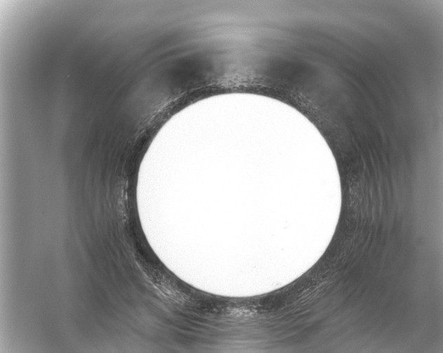 X0000056020592200509170012
