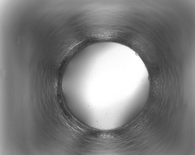 X0000056020596200509170012