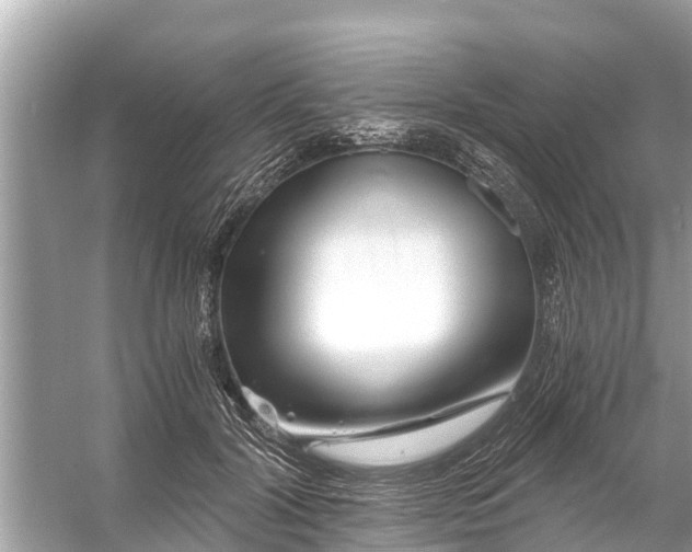 X0000056020604200509170012