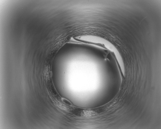 X0000056020605200509170012