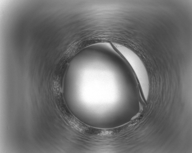 X0000056020609200509170012