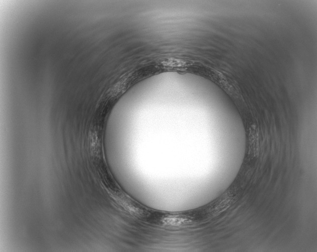 X0000056020614200509170012
