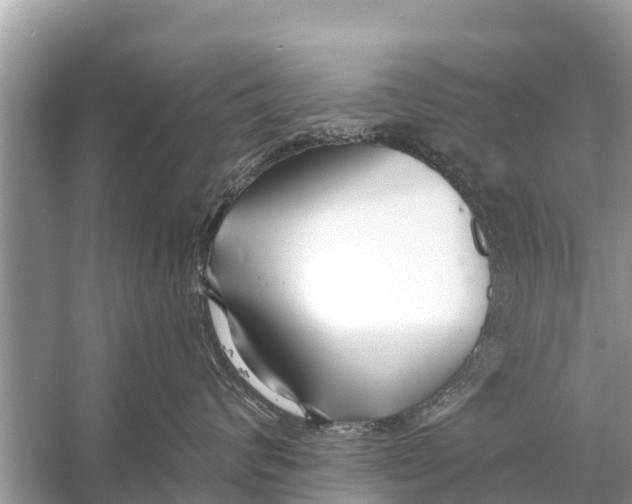 X0000056020624200509170012