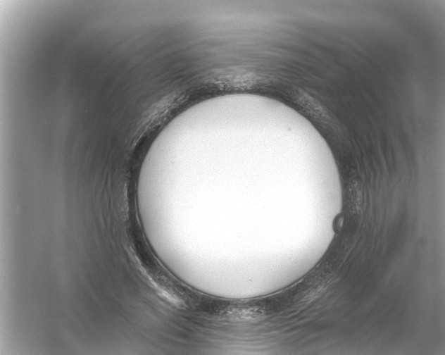 X0000056020638200509170011