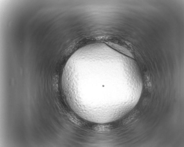 X0000056020664200509170011