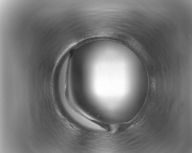 X0000056020676200509170011