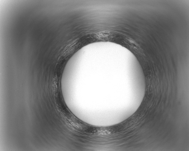 X0000056020702200509170010