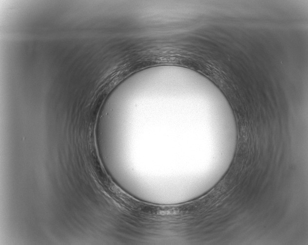 X0000056020744200509170010