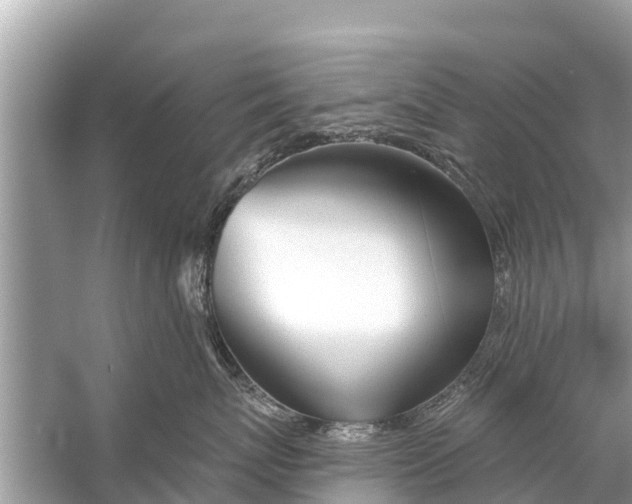 X0000056020767200509170010