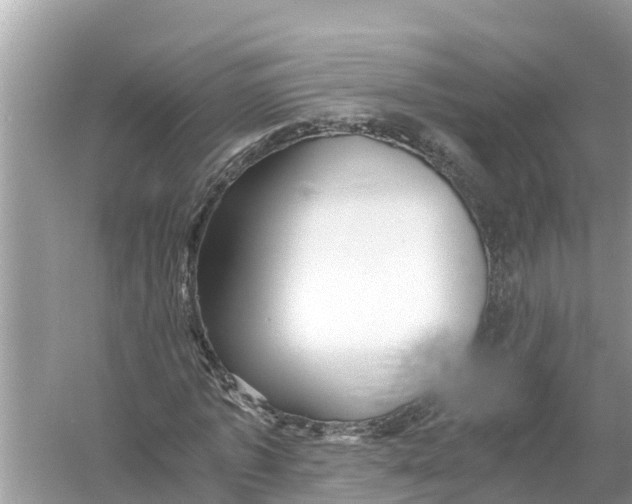 X0000056020773200509170009