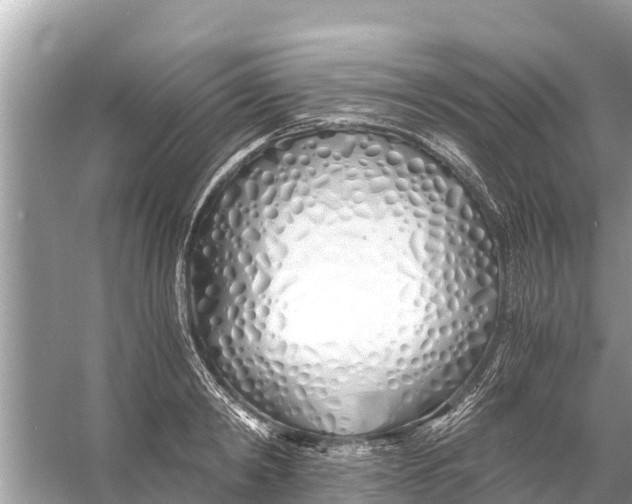 X0000056020798200509170009