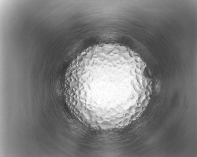 X0000056020819200509170008