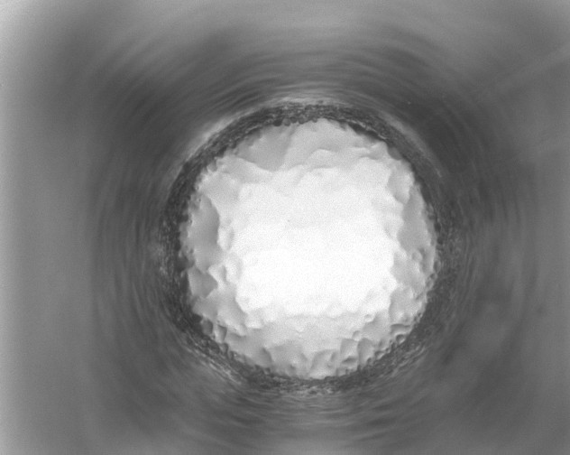 X0000056020823200509170008
