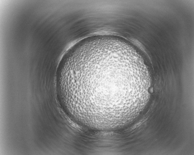 X0000056020831200509170008