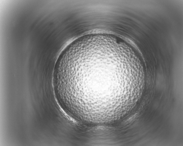 X0000056020847200509170008