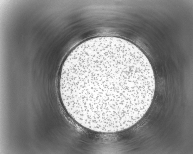 X0000056020856200509170008