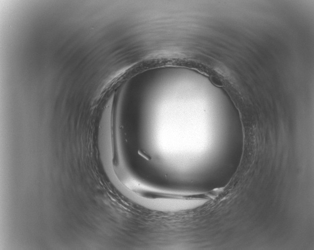 X0000056020872200509170007