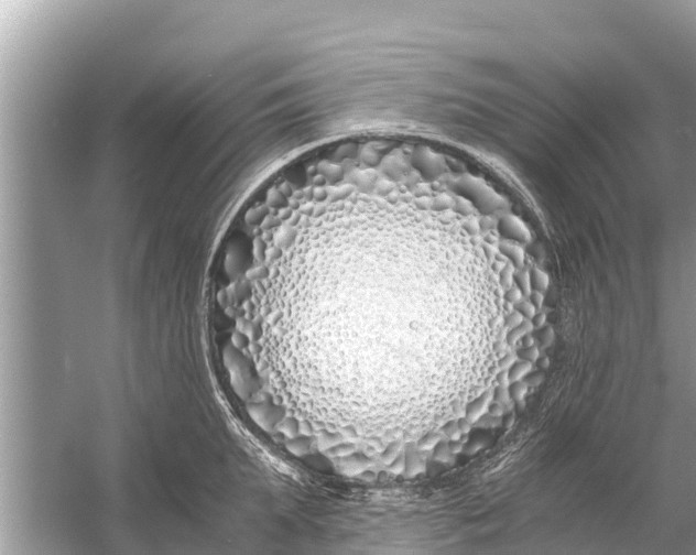 X0000056020903200509170007