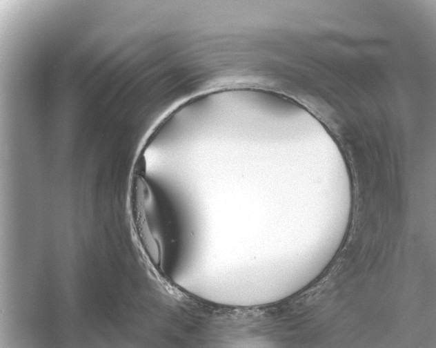 X0000056020912200509170007
