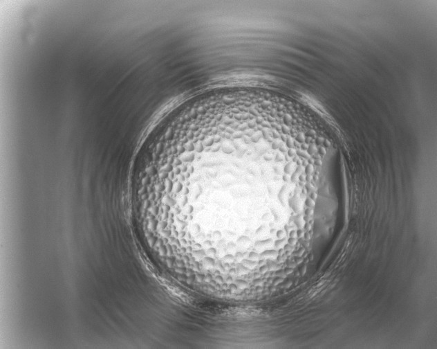 X0000056020994200509170005