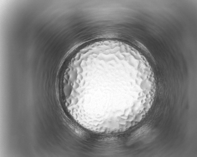 X0000056021035200509170005