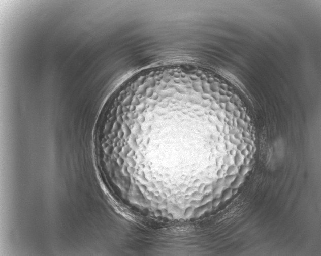 X0000056021047200509170005