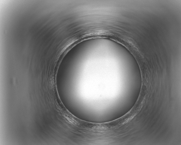 X0000056021073200509170004