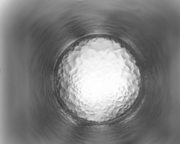 X0000056021121200509170003