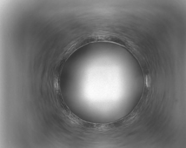 X0000056021155200509170003