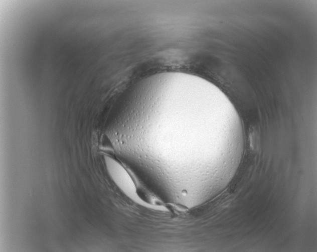 X0000056021347200509162359
