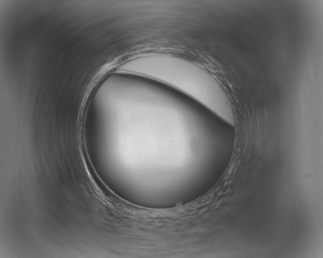 X0000056030003200508191004