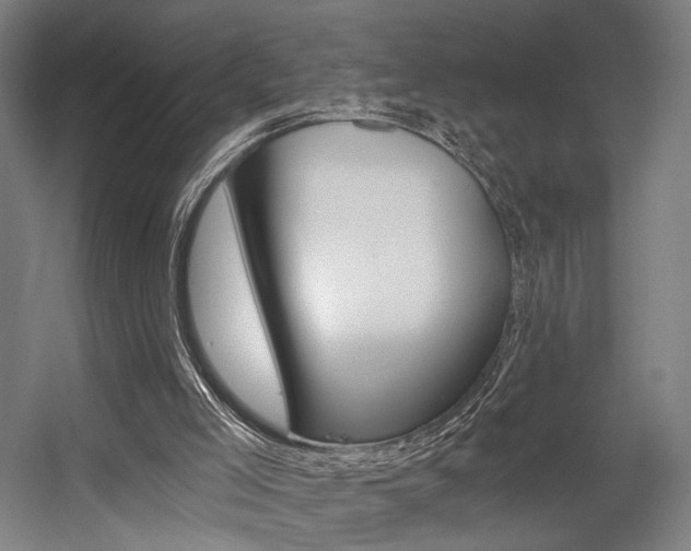 X0000056030005200508191004