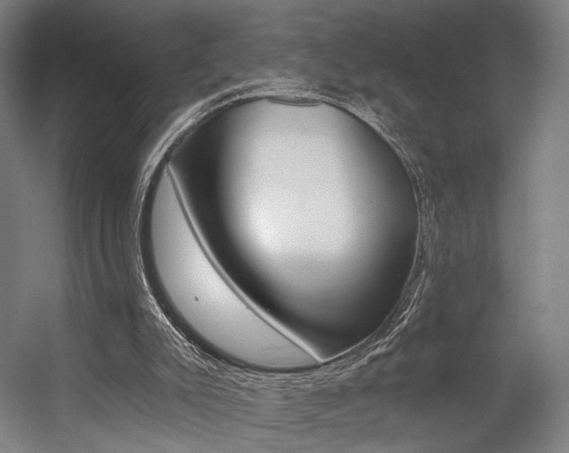 X0000056030007200508191004