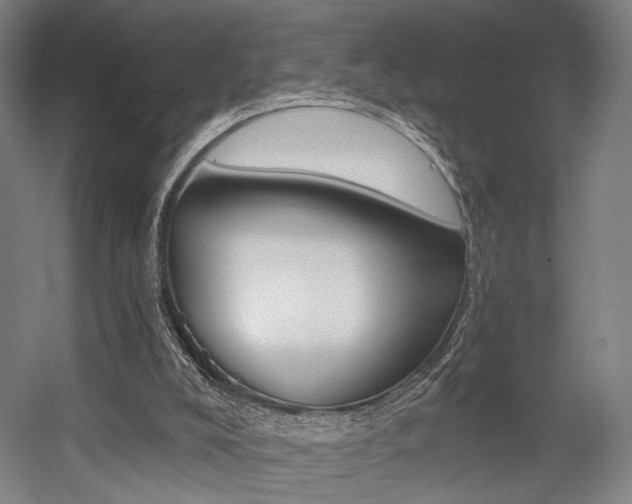 X0000056030008200508191004