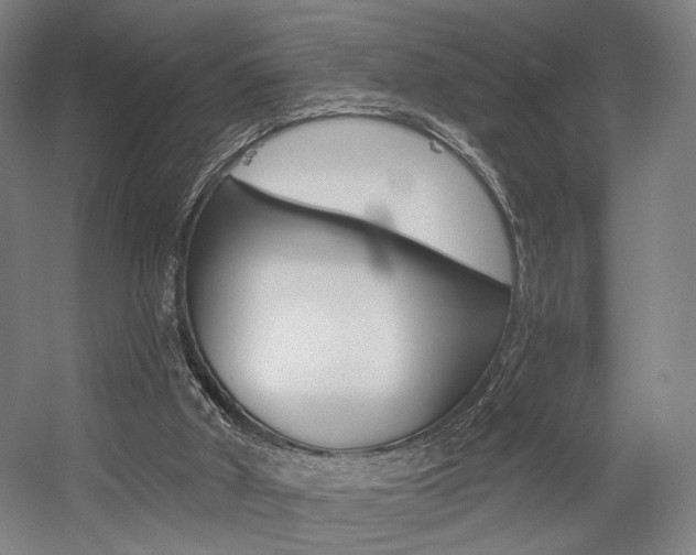X0000056030010200508191004
