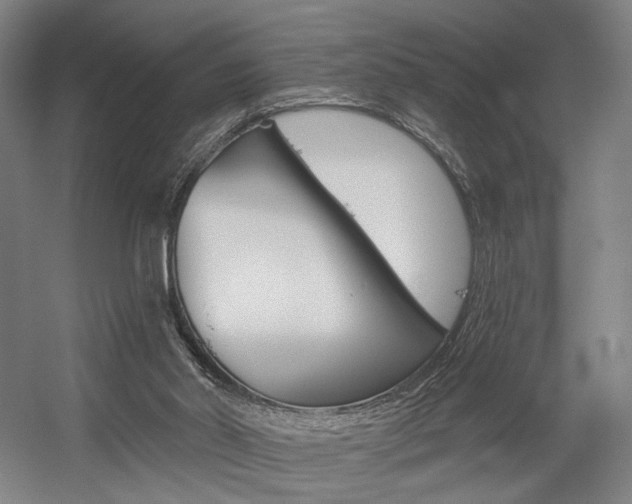 X0000056030014200508191004