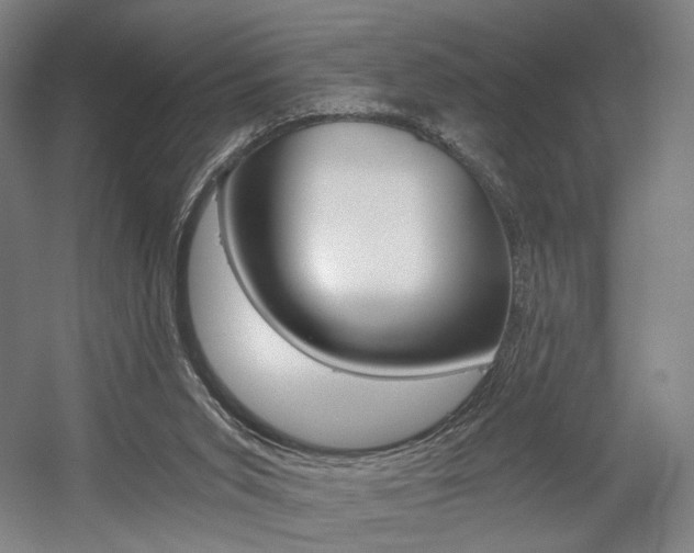 X0000056030015200508191004