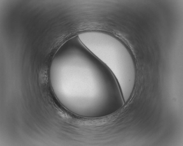 X0000056030017200508191004